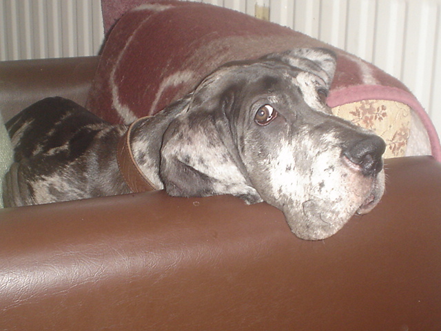 DSC00678.JPG