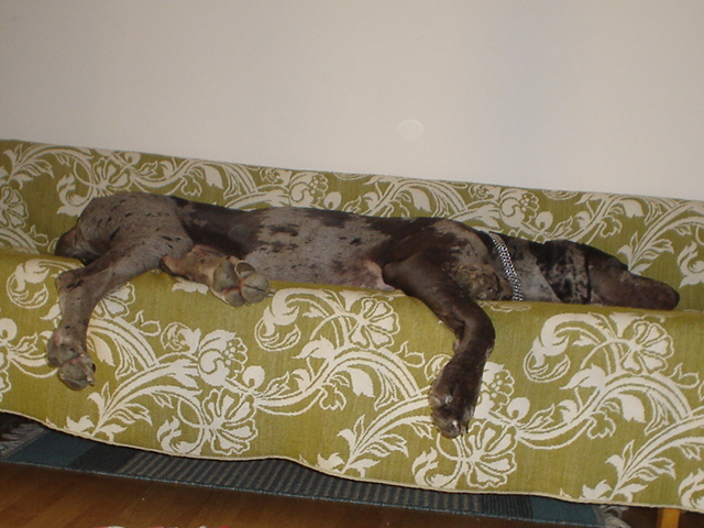 DSC01113.JPG