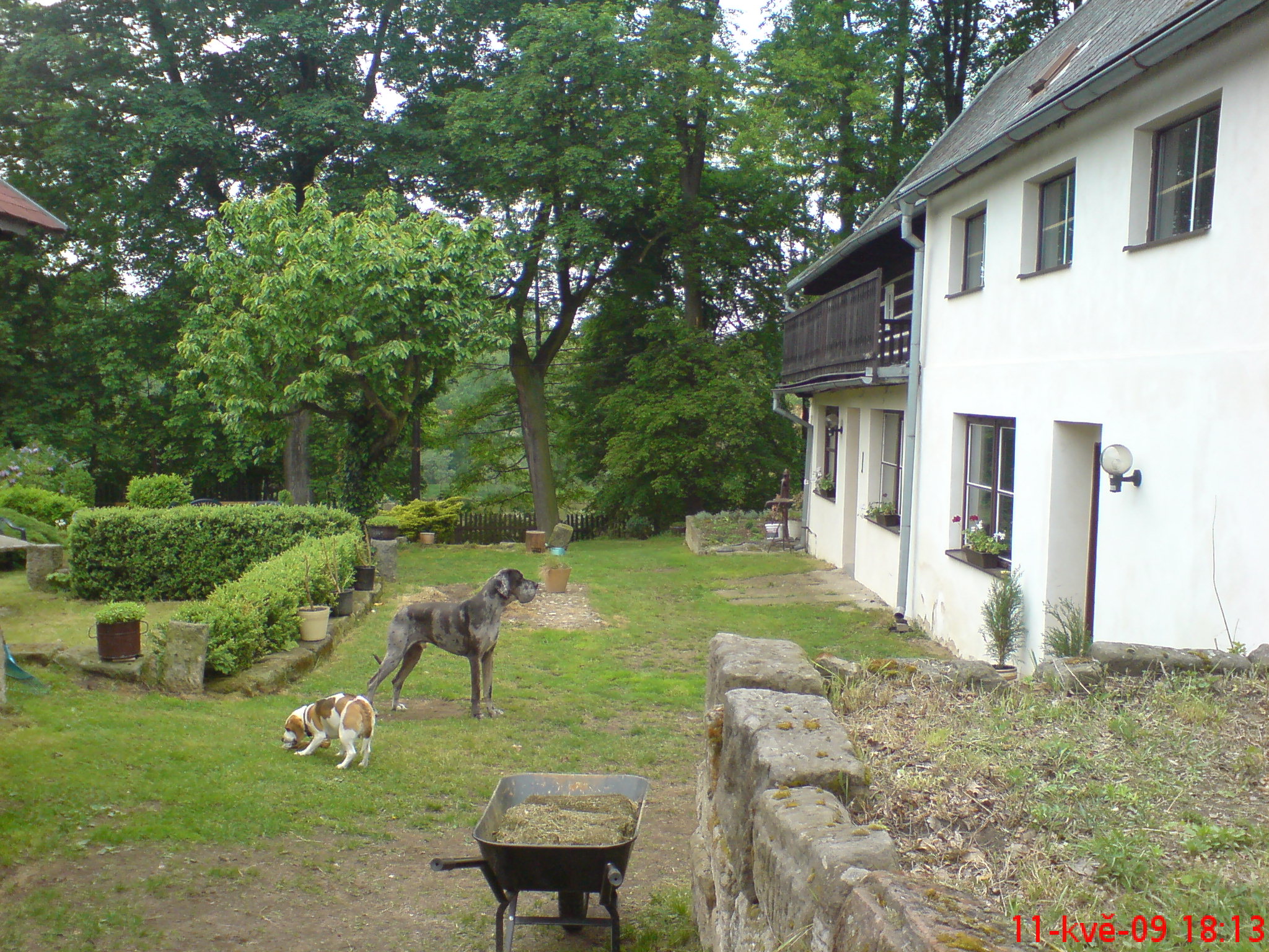 DSC00437.JPG