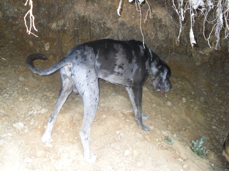 SDC10422.JPG
