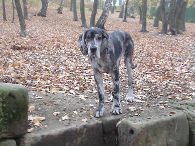 DSC00801.JPG