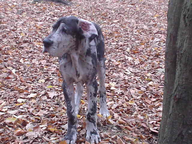 DSC00804.JPG