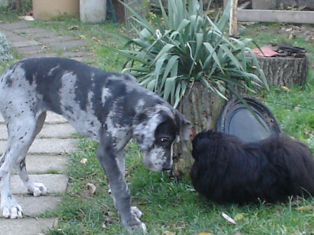 DSC00823.JPG