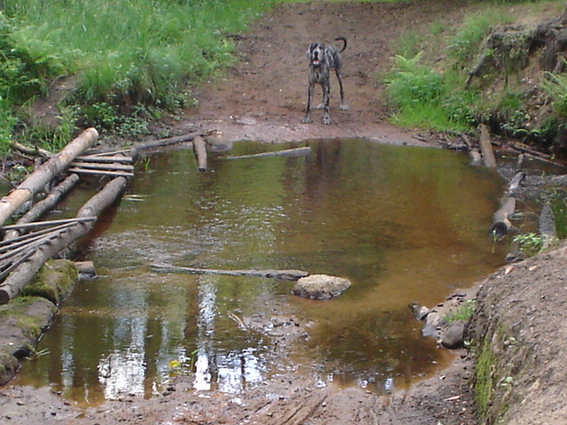 DSC01061.JPG