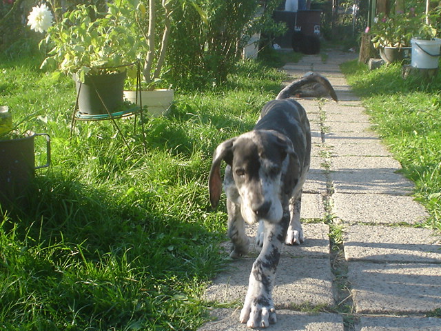DSC00609.JPG