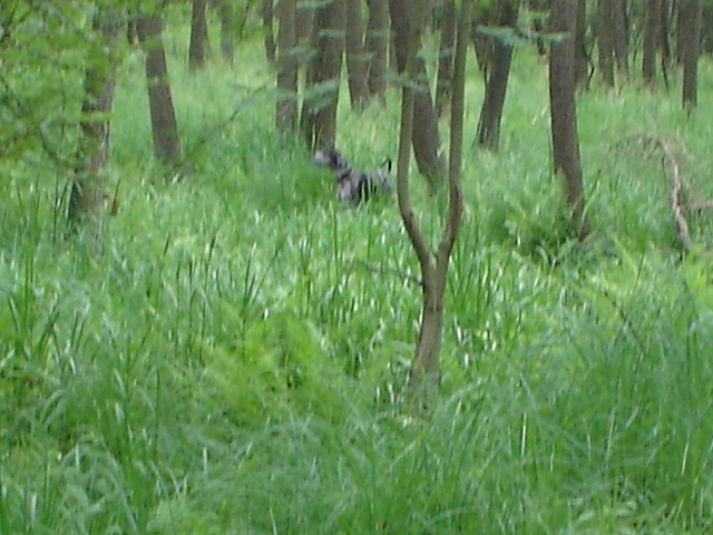 DSC01062.JPG