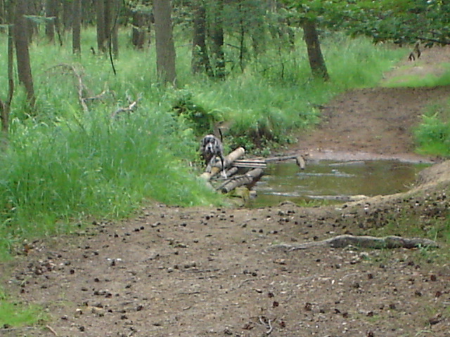 DSC01063.JPG