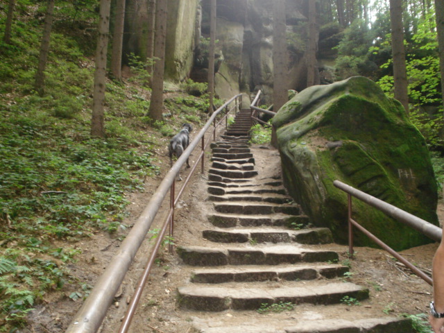 DSC01098.JPG