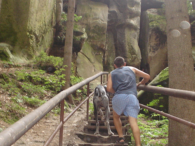 DSC01100.JPG