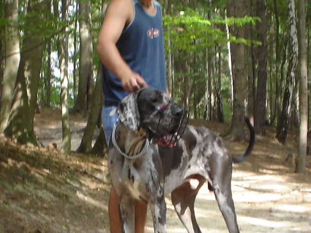 DSC01103.JPG