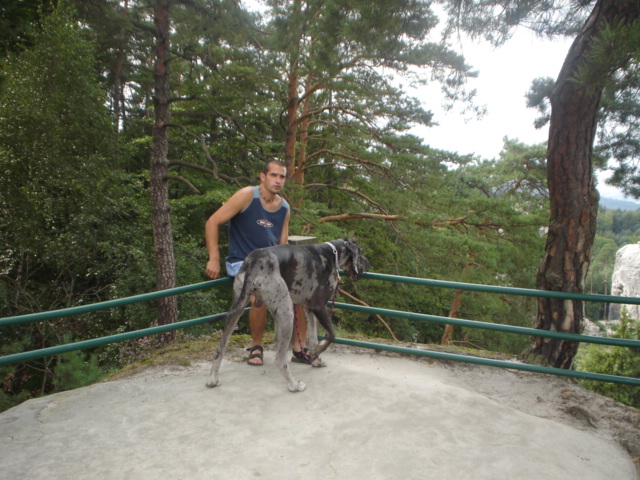 DSC01104.JPG