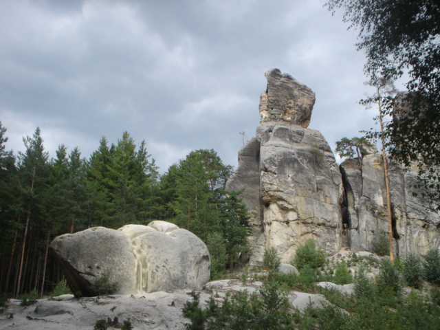 DSC01110.JPG
