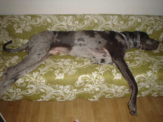 DSC01114.JPG