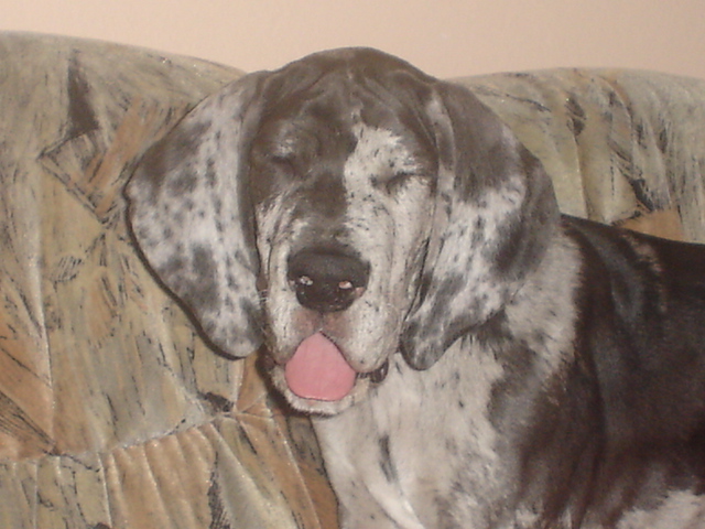 DSC00625.JPG