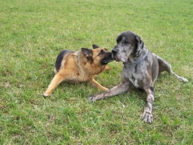 100_6177.jpg