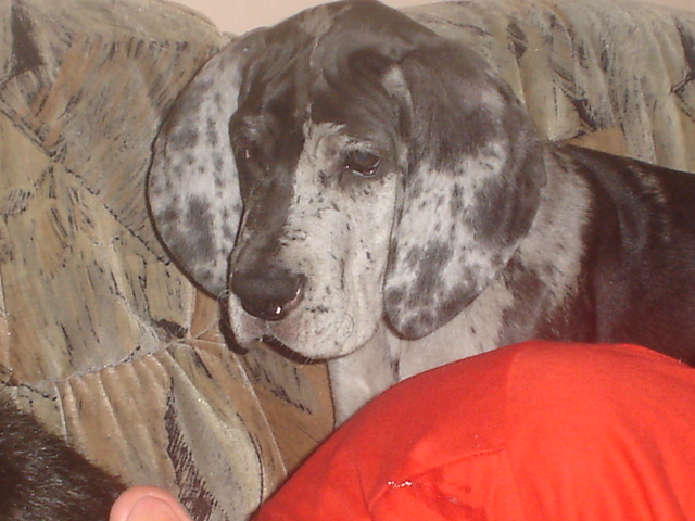 DSC00626.JPG