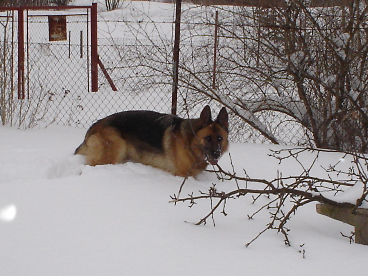 DSC00251.JPG