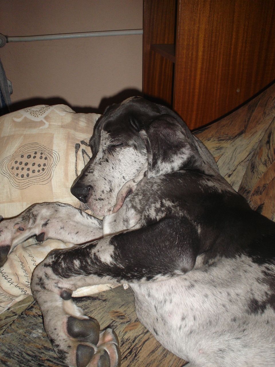 DSC00751.JPG