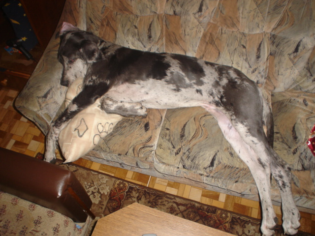 DSC00865.JPG