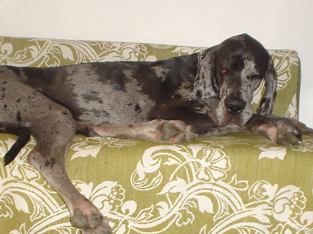 DSC01111.JPG