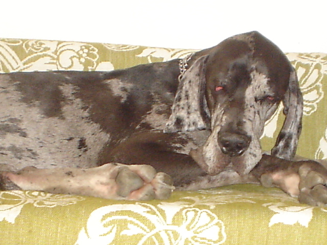 DSC01112.JPG